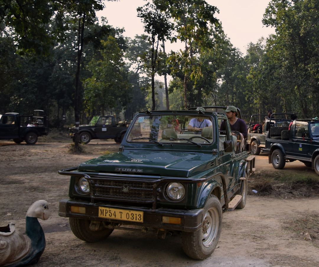 Bandhavgarh Weekend Tour with 1 Gypsy Safari (2N/3D)